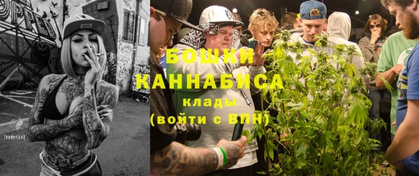 твердый Бородино