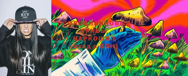 твердый Бородино