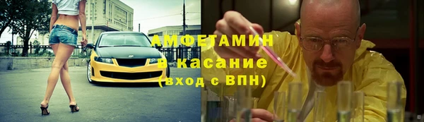 твердый Бородино