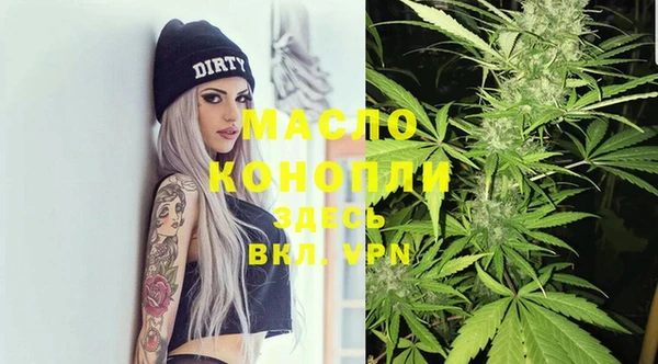 твердый Бородино