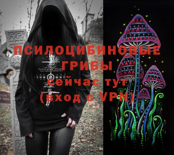 твердый Бородино
