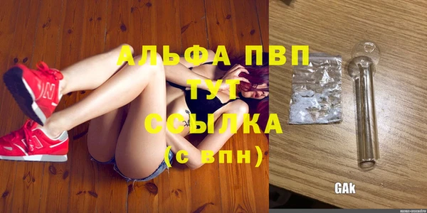 твердый Бородино