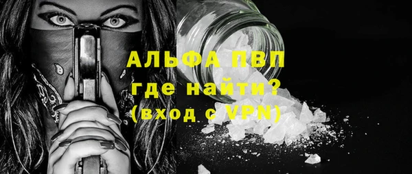 твердый Бородино
