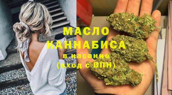 твердый Бородино