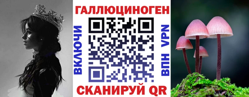 Галлюциногенные грибы Psilocybine cubensis  Коммунар 