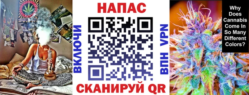 где найти   Коммунар  hydra зеркало  Каннабис сатива 